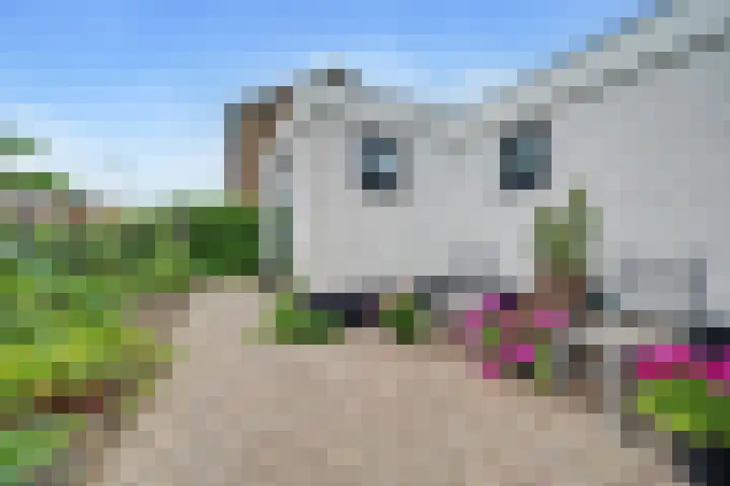 Henry Dunantstraat 47 Kruiningen thumbnail 60