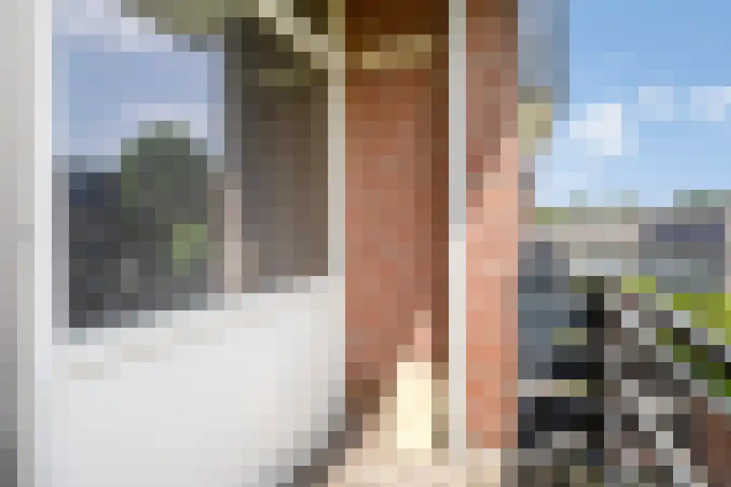 Henry Dunantstraat 52 Hengelo thumbnail 28