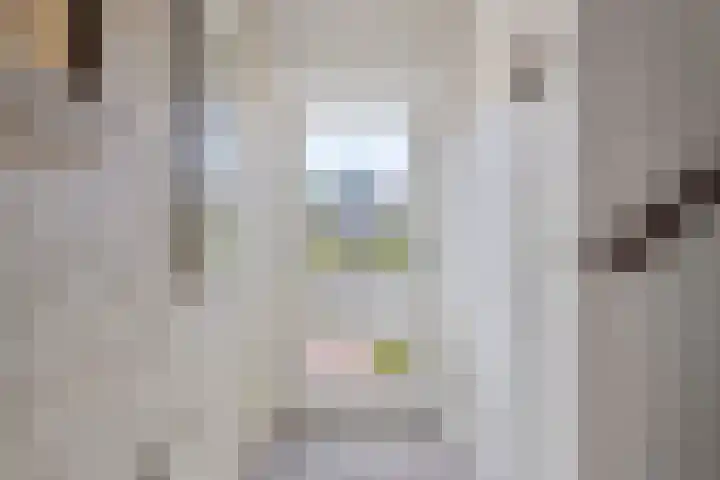 Henry Dunantstraat 61 Eck en Wiel thumbnail 4