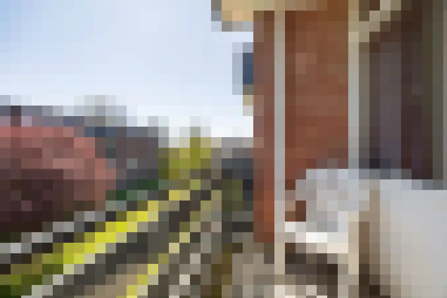 Henry Dunantstraat 64 Hengelo thumbnail 21