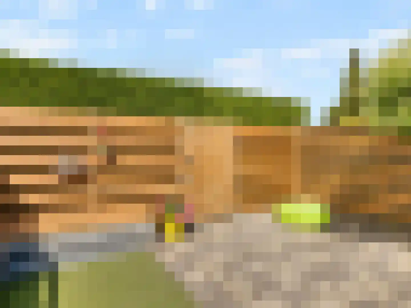 Henry Dunantstraat 9 Eck en Wiel thumbnail 31