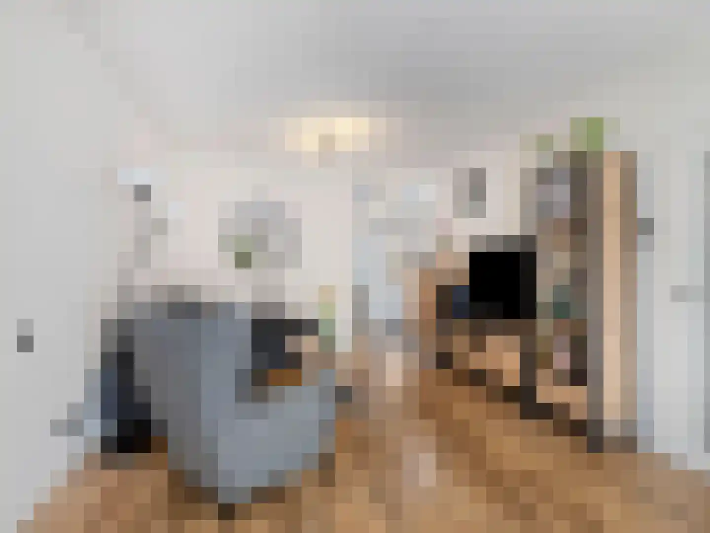 Henry Dunantstraat 9 Eck en Wiel thumbnail 5