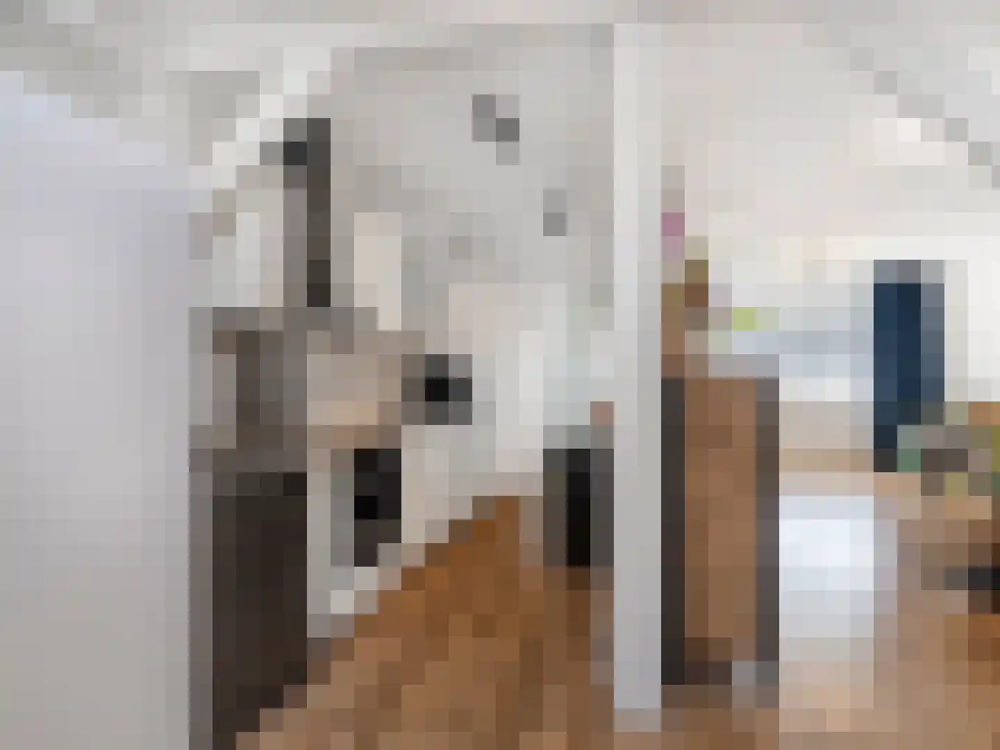 Henry Dunantstraat 9 Eck en Wiel thumbnail 9