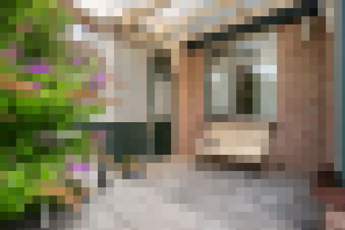 Henry Dunantstraat 92 Bergambacht thumbnail 32
