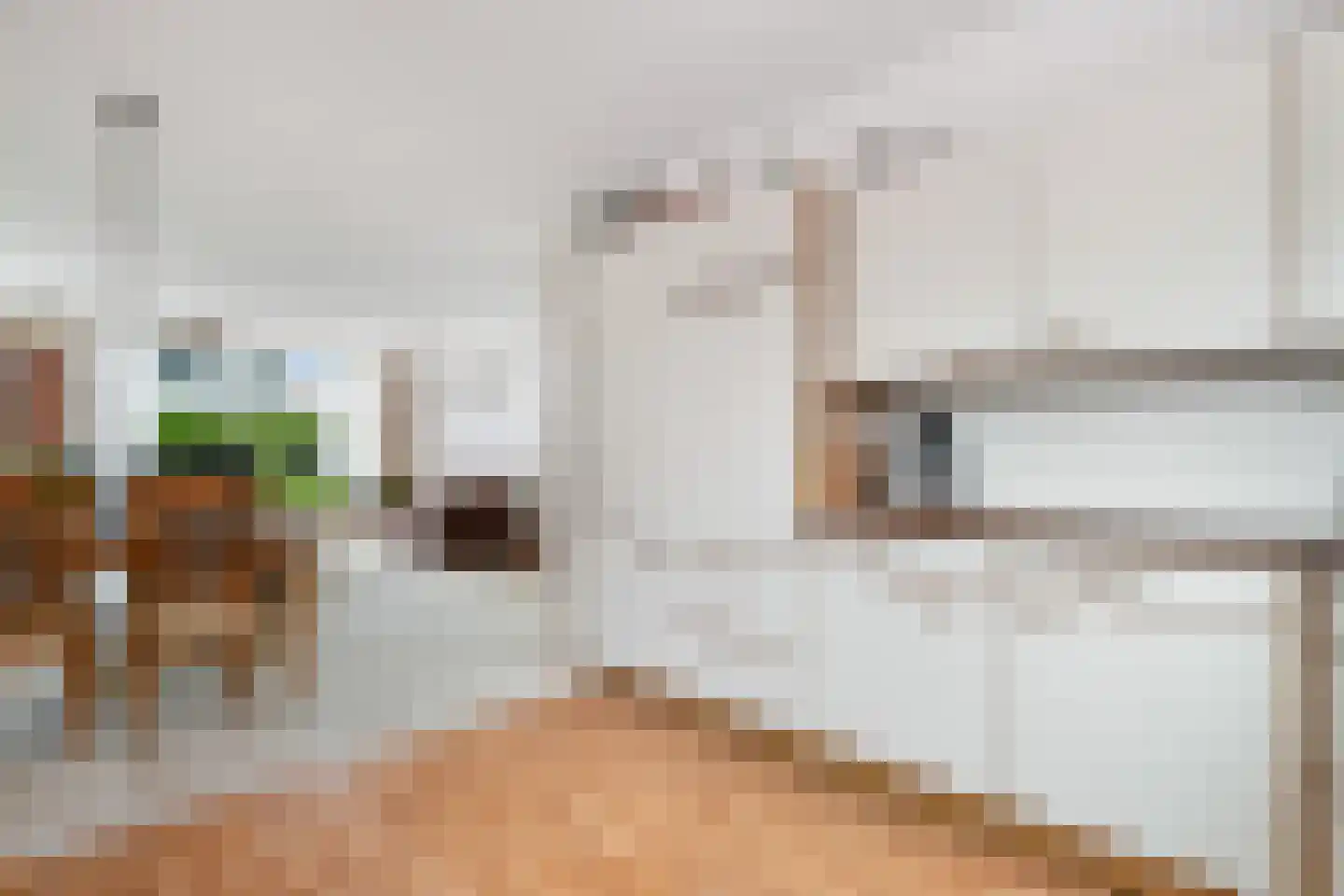 Henry Dunantstraat 92 Bergambacht thumbnail 9