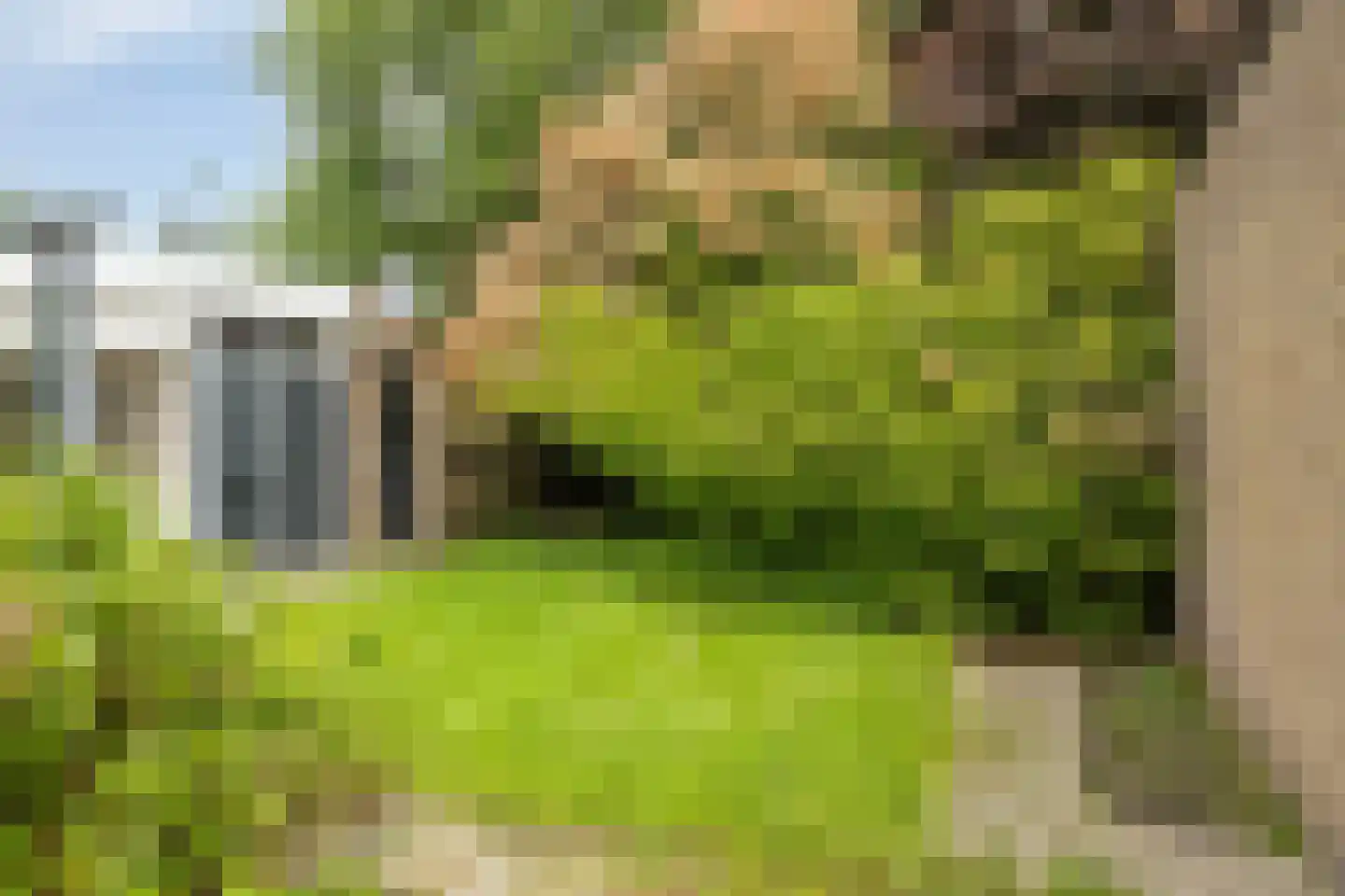 Henry Dunantweg 135 Neede thumbnail 4