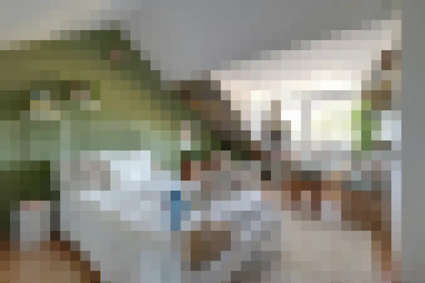 Henry Dunantweg 142 Lochem thumbnail 33