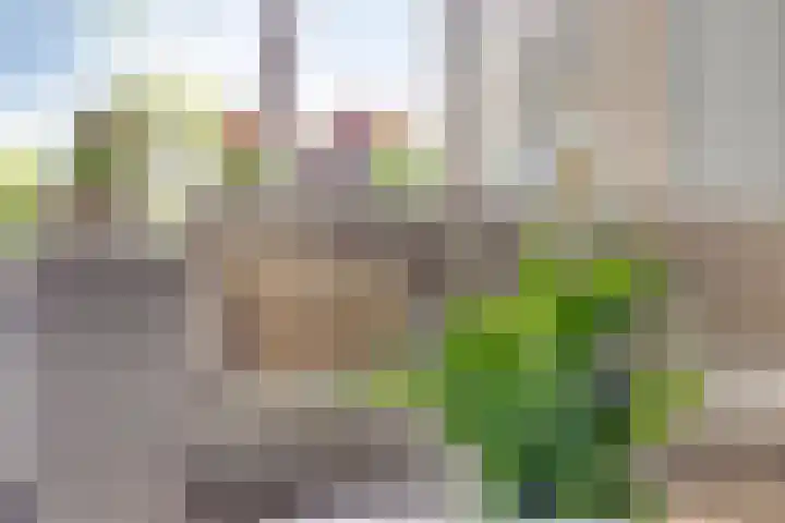 Henry Dunantweg 66 Lochem thumbnail 10