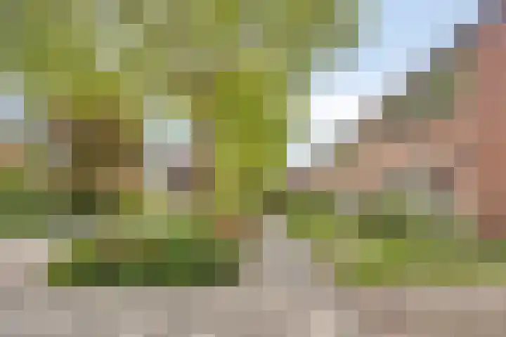 Henry Dunantweg 66 Lochem thumbnail 4