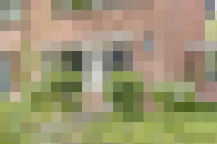 Henry Dunantweg 66 Lochem thumbnail 6