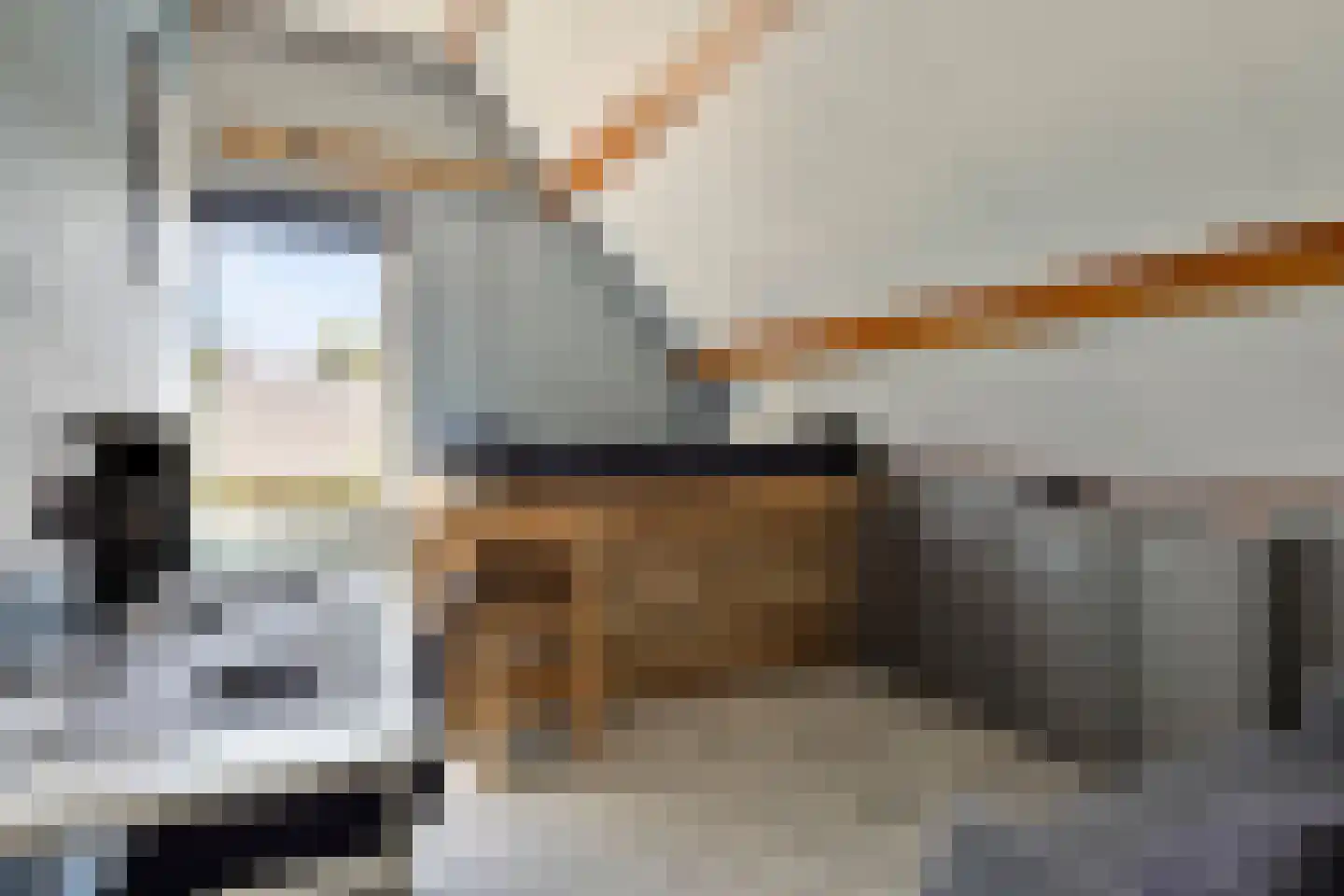 Henry Fordstraat 14 Zwartewaal thumbnail 45
