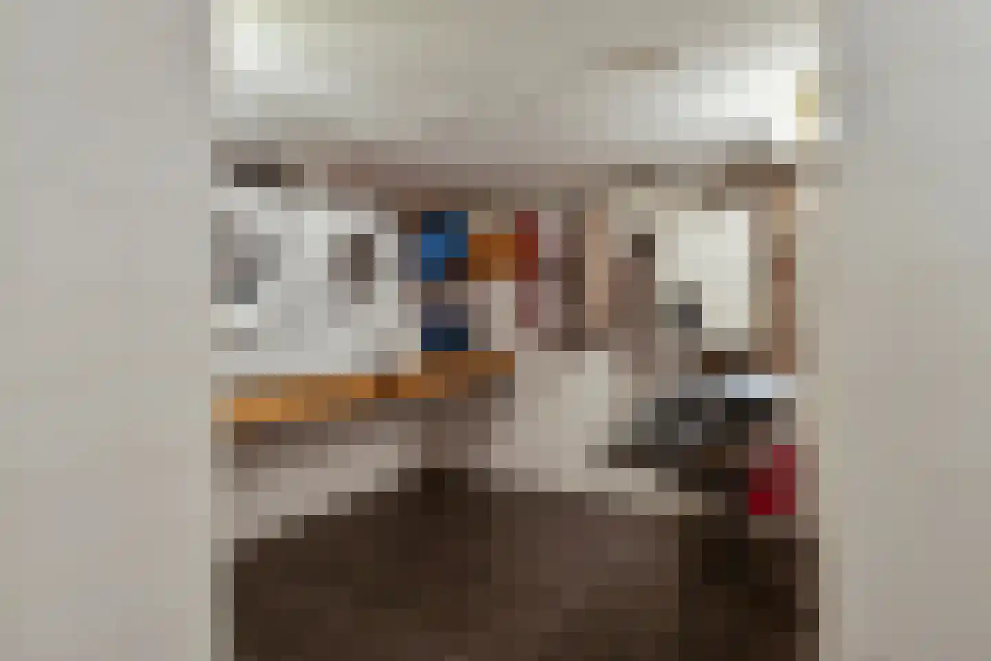Henry Fordstraat 14 Zwartewaal thumbnail 52