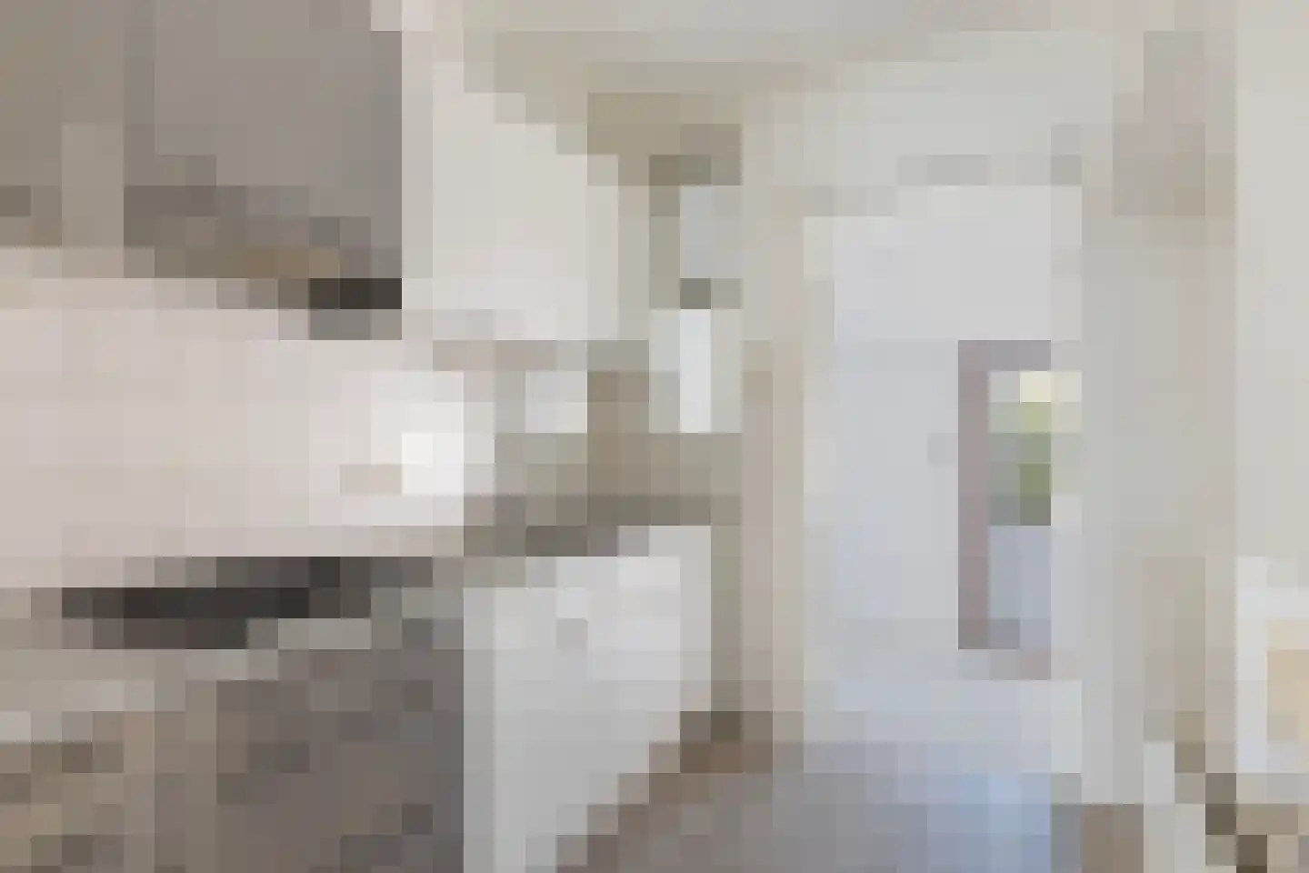 Henry Fordstraat 16 Zwartewaal thumbnail 17