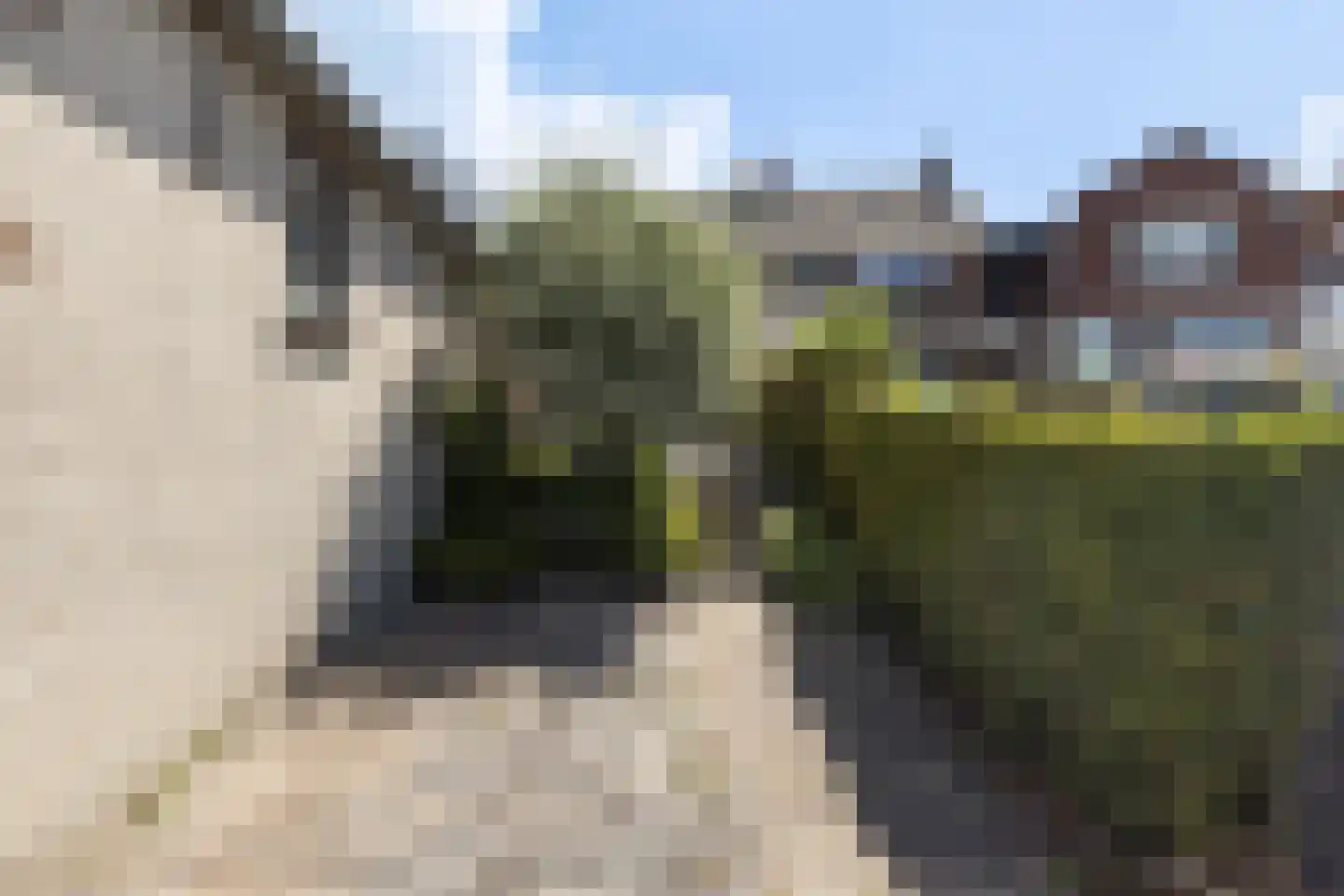 Henry Fordstraat 16 Zwartewaal thumbnail 23
