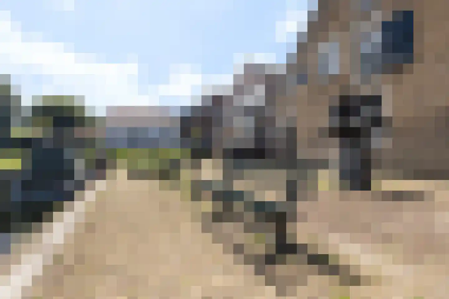 Henry Fordstraat 16 Zwartewaal thumbnail 34