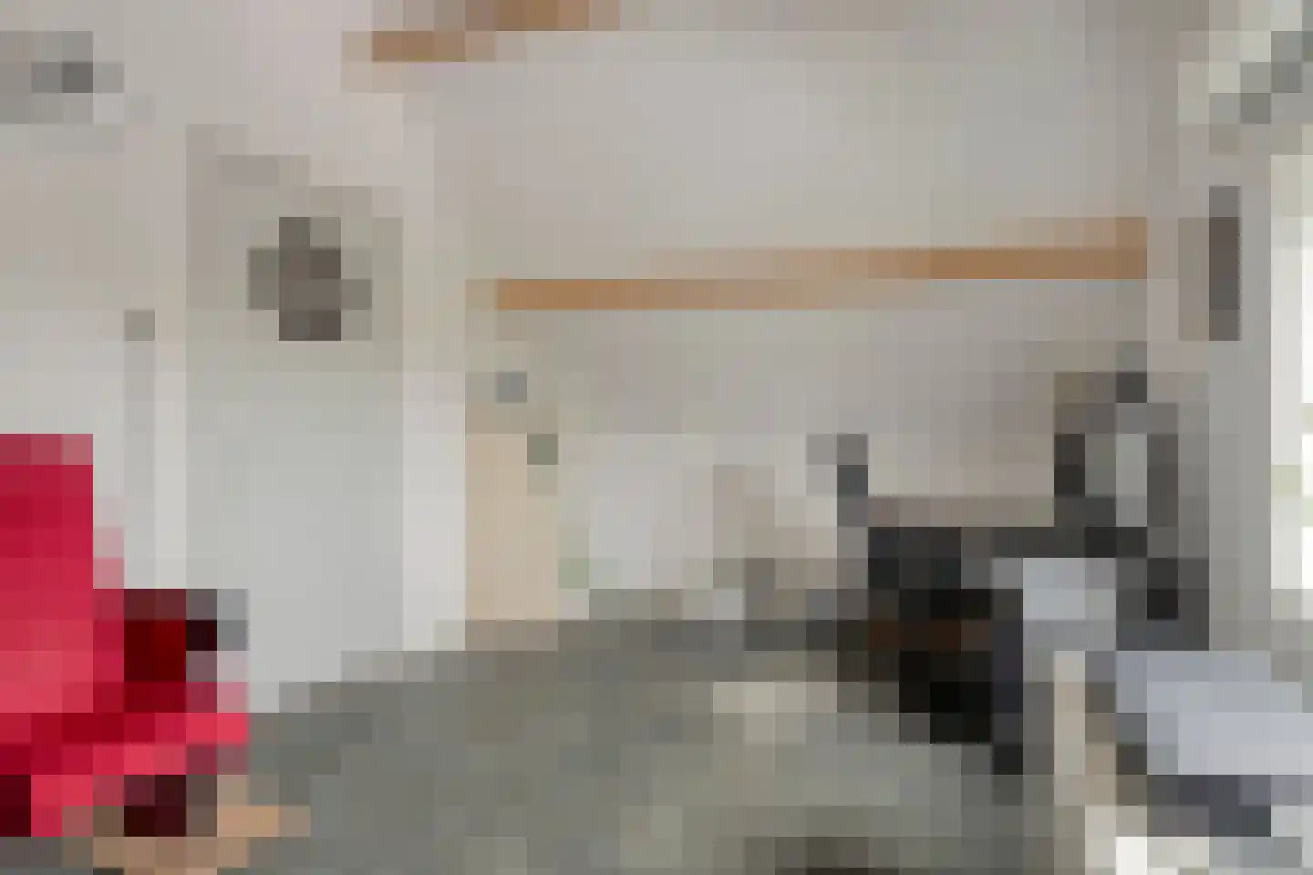 Henry Fordstraat 22 Zwartewaal thumbnail 25