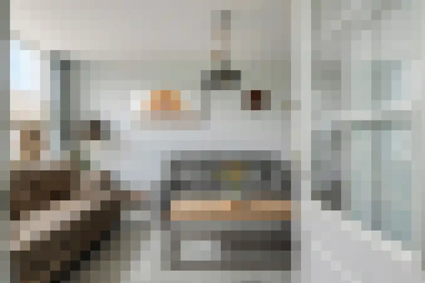 Henry Fordstraat 22 Zwartewaal thumbnail 9