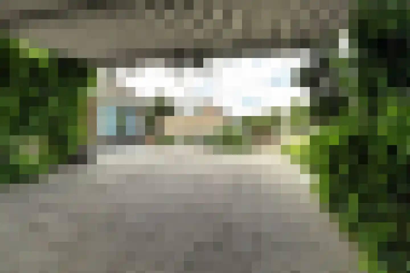 Henry Fordstraat 7 Zwartewaal thumbnail 59