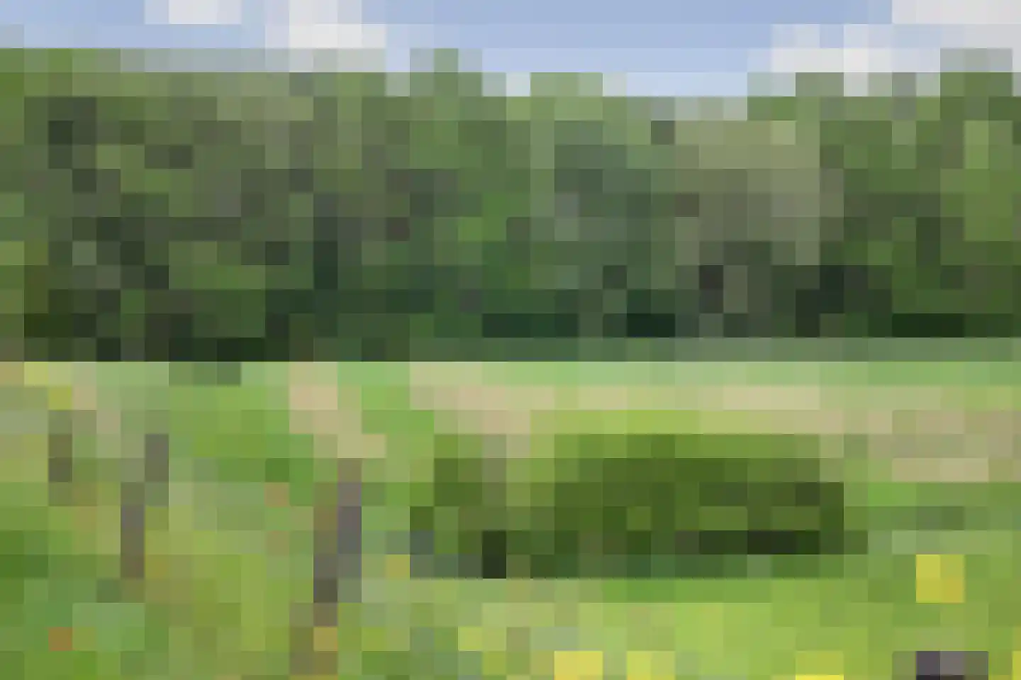 Henry Fordstraat 7 Zwartewaal thumbnail 68