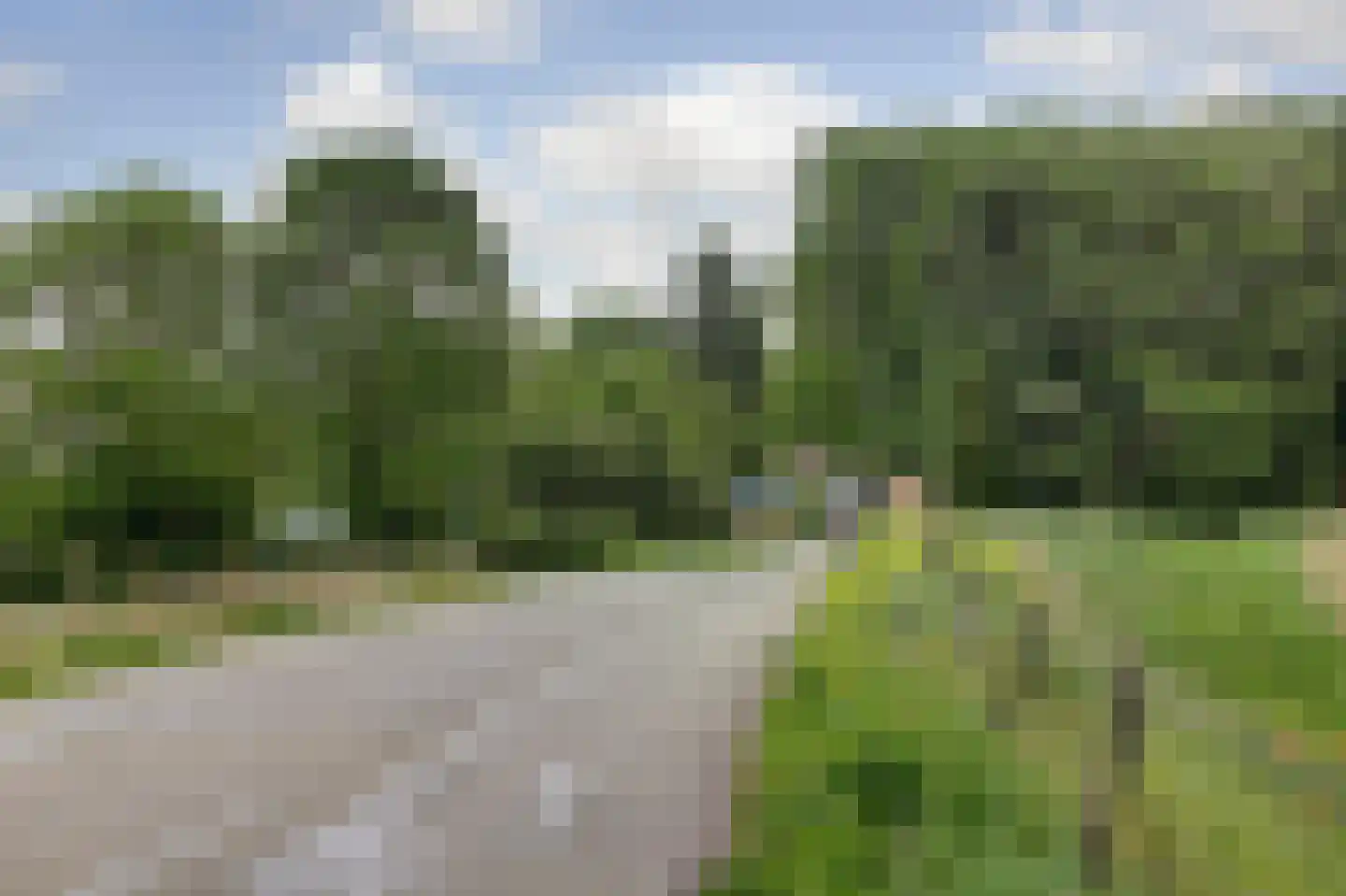 Henry Fordstraat 7 Zwartewaal thumbnail 69