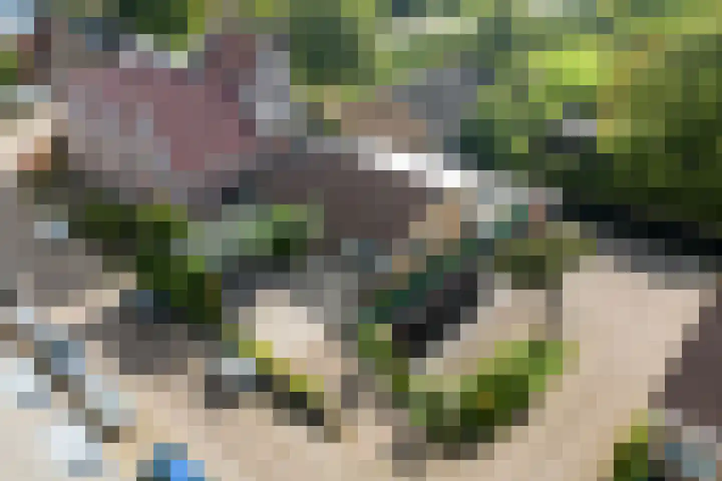 Henry Fordstraat 7 Zwartewaal thumbnail 77