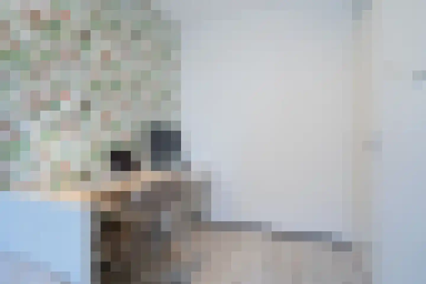 Henry Hagalaan 20 Voorburg thumbnail 17