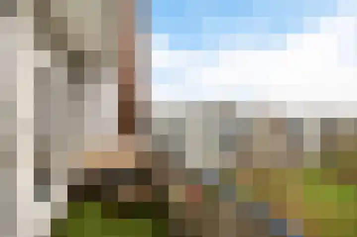 Henry Hagalaan 50 Voorburg thumbnail 17