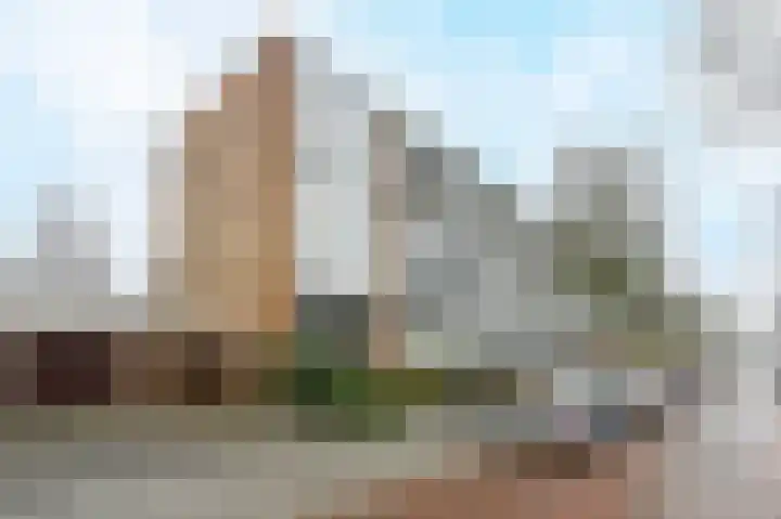 Henry Hagalaan 50 Voorburg thumbnail 24