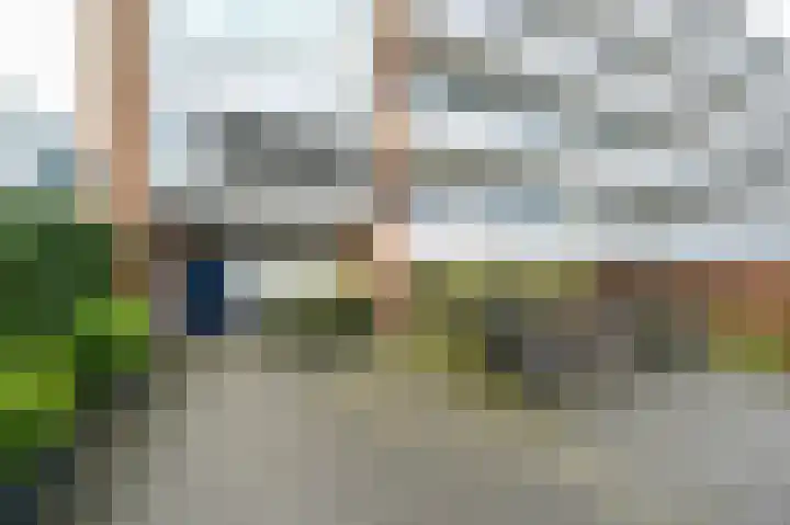 Henry Hagalaan 50 Voorburg thumbnail 25