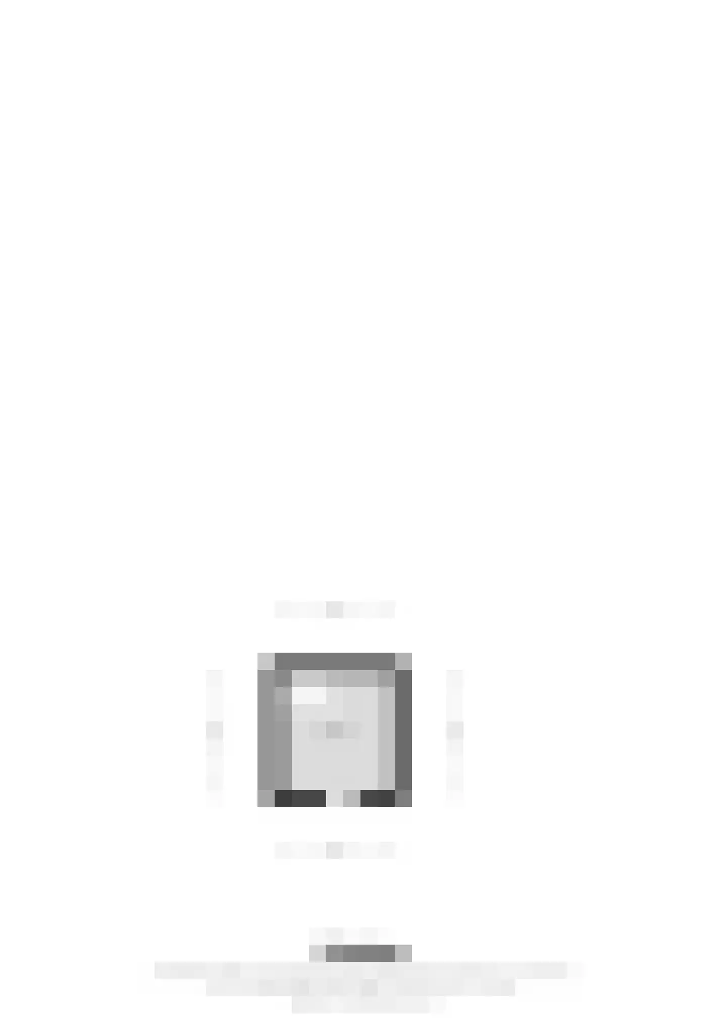 Henry Hardenstraat 4 Nederweert thumbnail 35