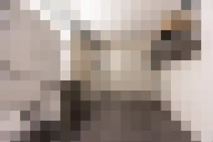 Henry Hudsonstraat 28 De Lier thumbnail 21
