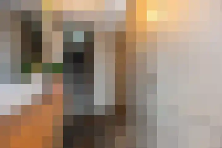 Henry Hudsonstraat 28 De Lier thumbnail 23