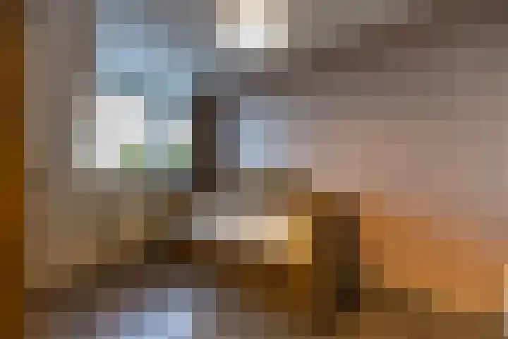 Henry Hudsonstraat 28 De Lier thumbnail 24