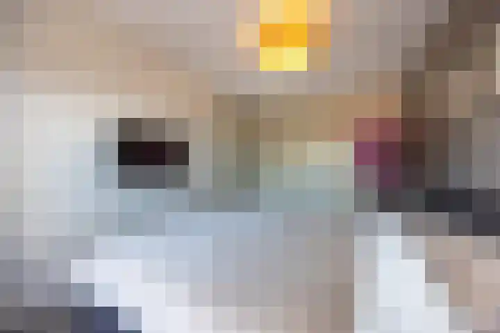 Henry Hudsonstraat 28 De Lier thumbnail 31