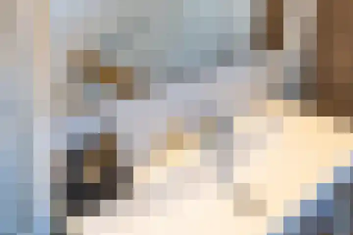 Henry Hudsonstraat 28 De Lier thumbnail 36