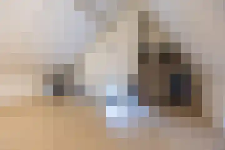 Henry Hudsonstraat 28 De Lier thumbnail 41