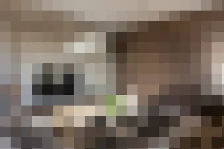 Henry Hudsonstraat 28 De Lier thumbnail 7