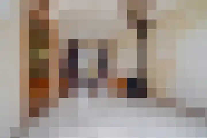 Henry Hudsonstraat 6 Tilburg thumbnail 5