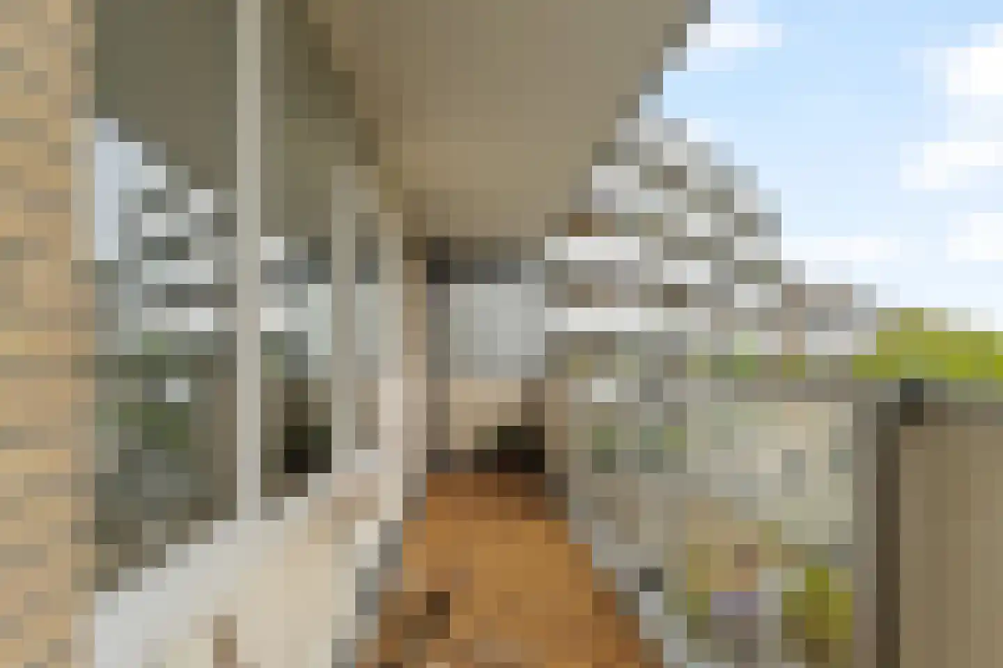 Henry Moorepassage 136 Capelle aan den IJssel thumbnail 10