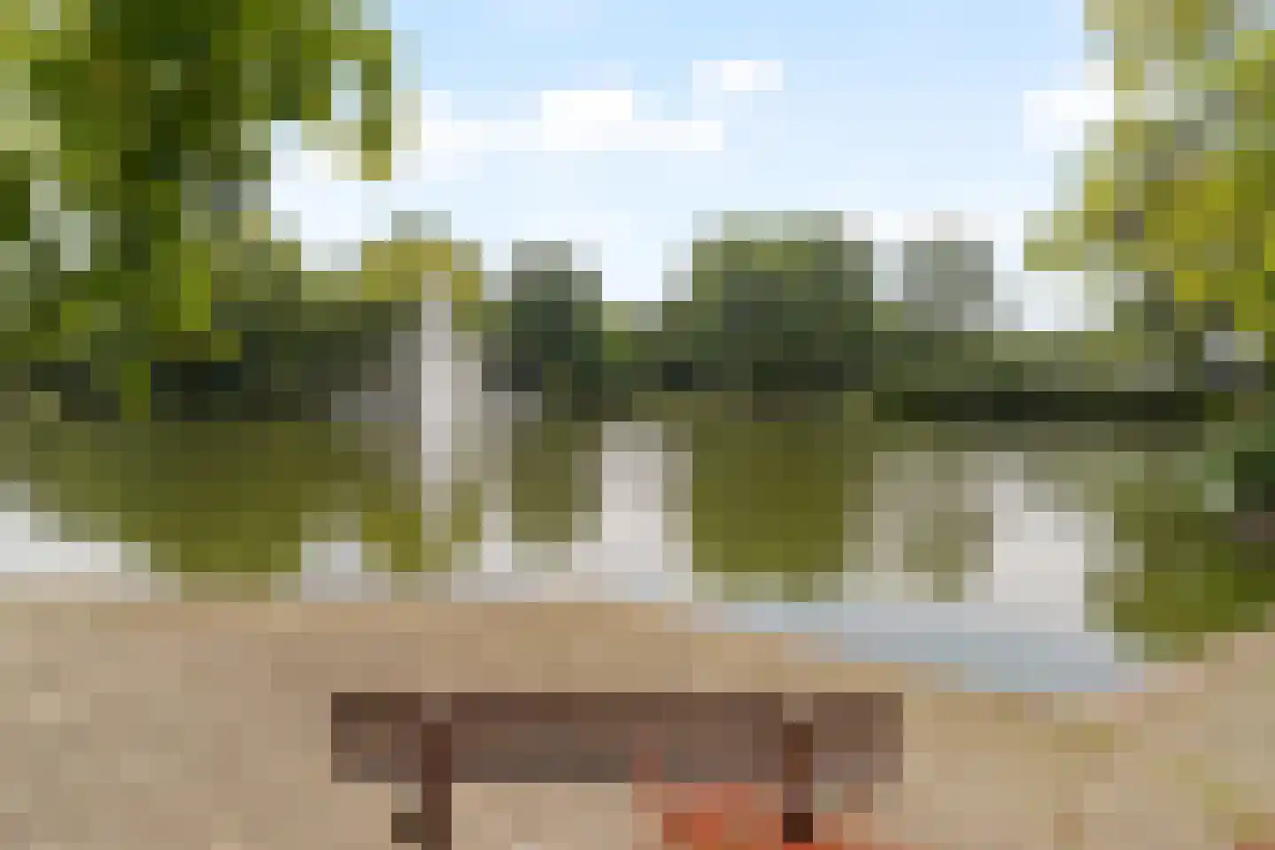 Henry Moorepassage 136 Capelle aan den IJssel thumbnail 26