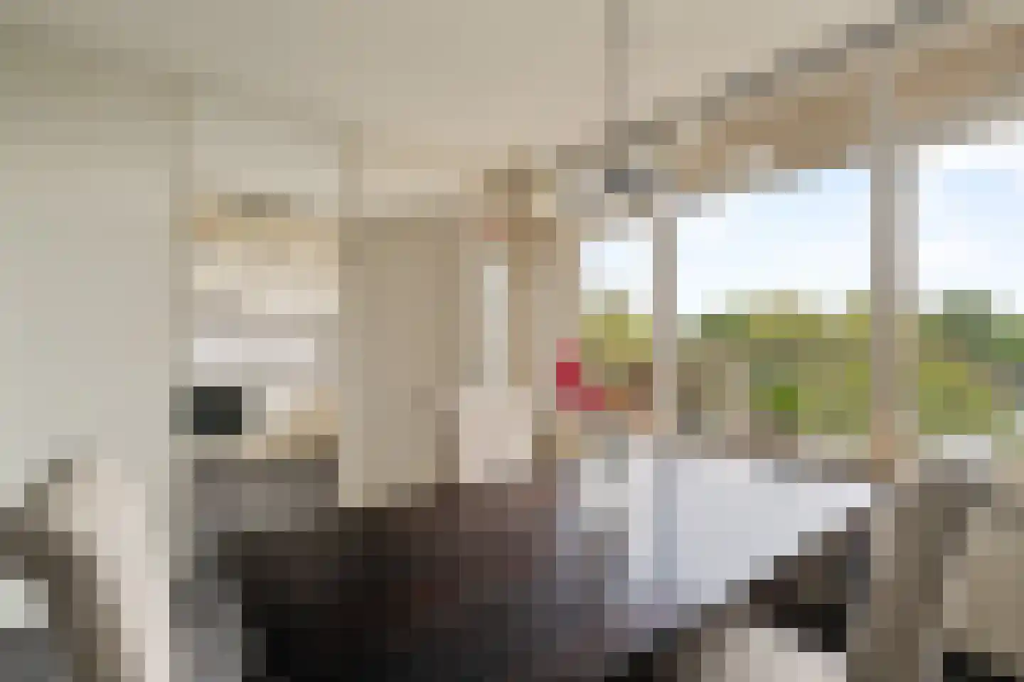 Henry Moorepassage 136 Capelle aan den IJssel thumbnail 5