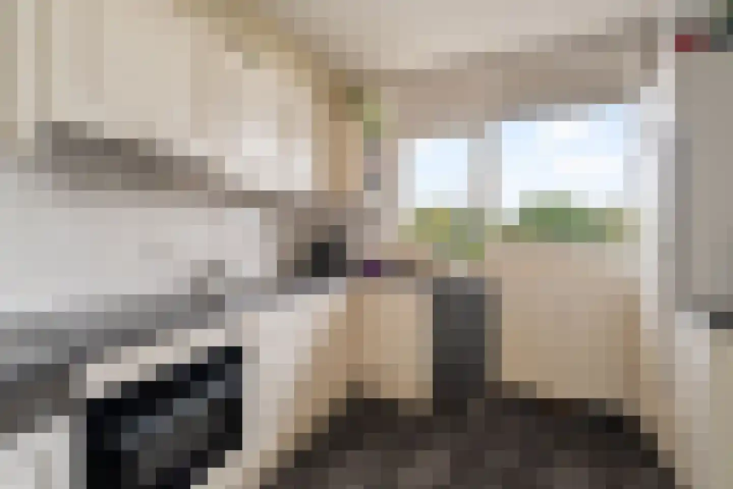 Henry Moorepassage 136 Capelle aan den IJssel thumbnail 7