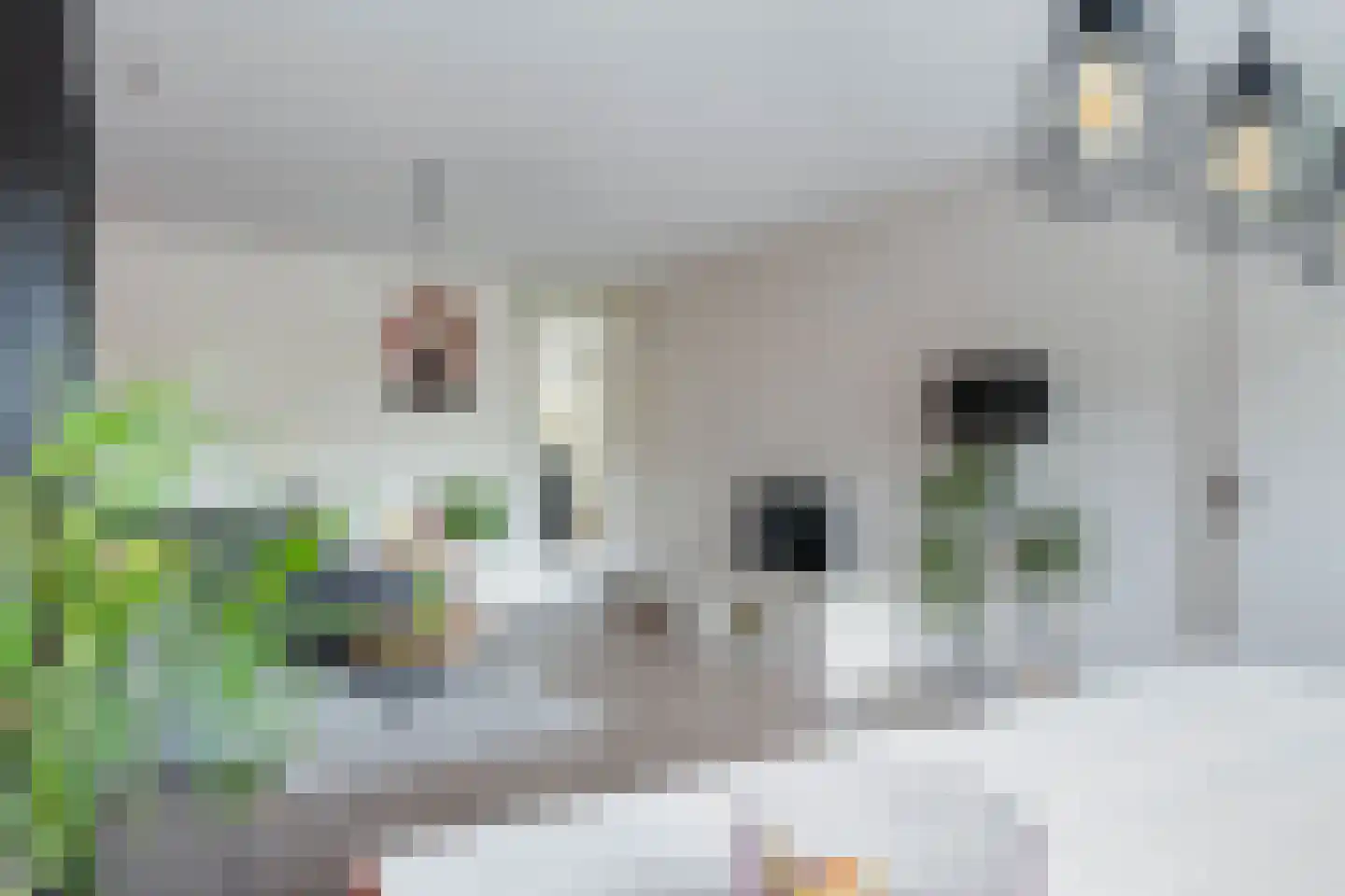 Henry Moorepassage 170 Capelle aan den IJssel thumbnail 14
