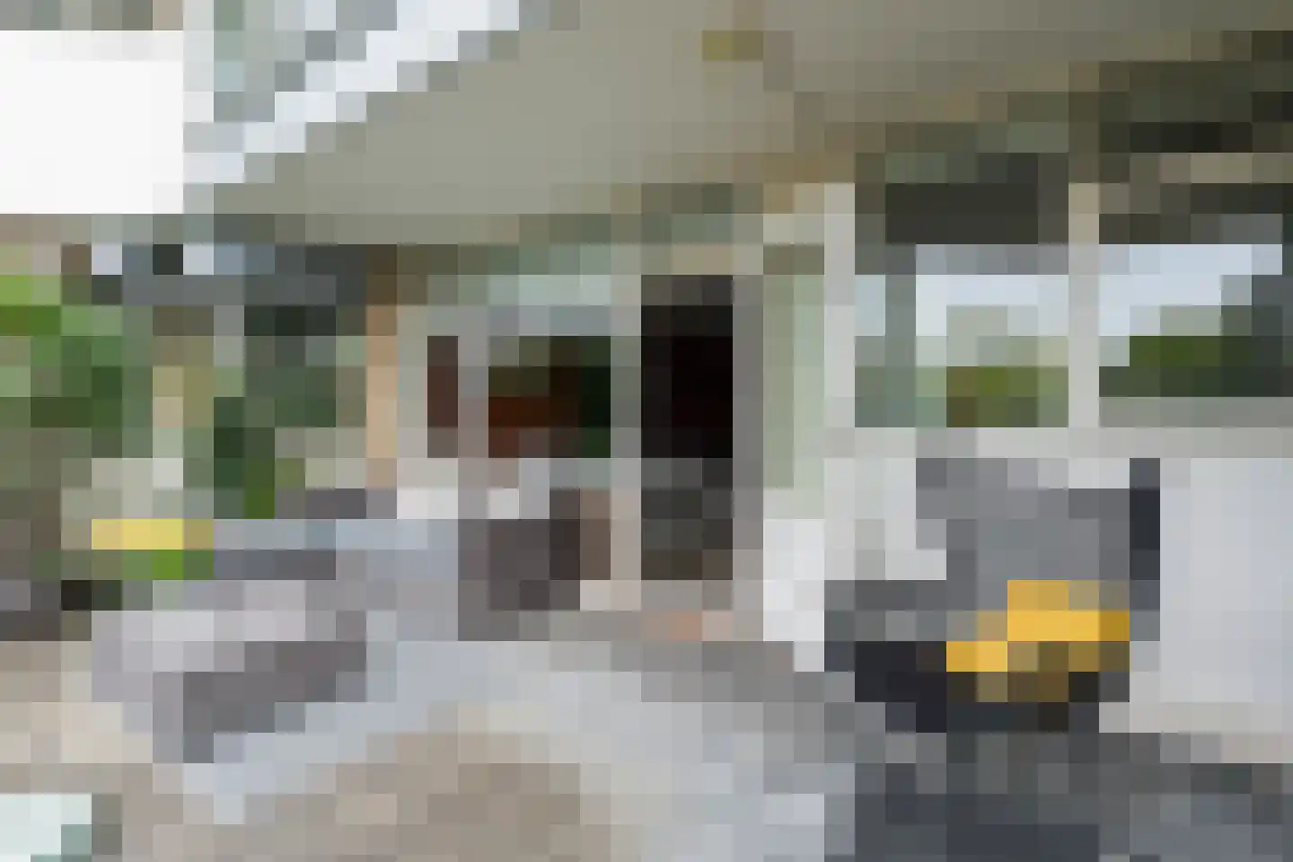 Henry Moorepassage 170 Capelle aan den IJssel thumbnail 20
