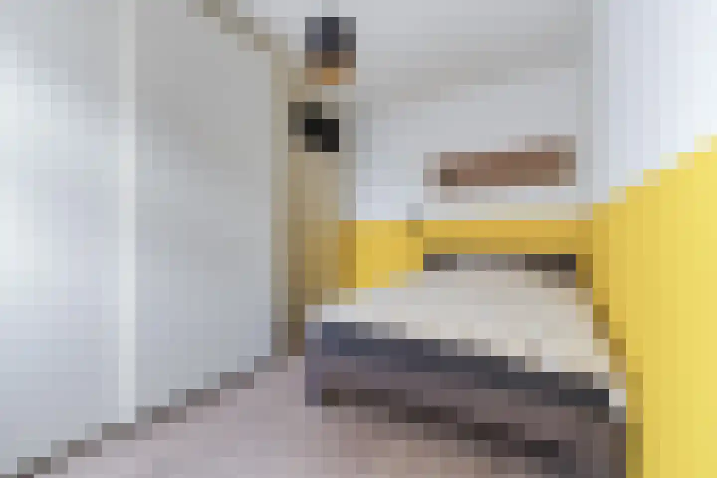 Henry Moorepassage 170 Capelle aan den IJssel thumbnail 30