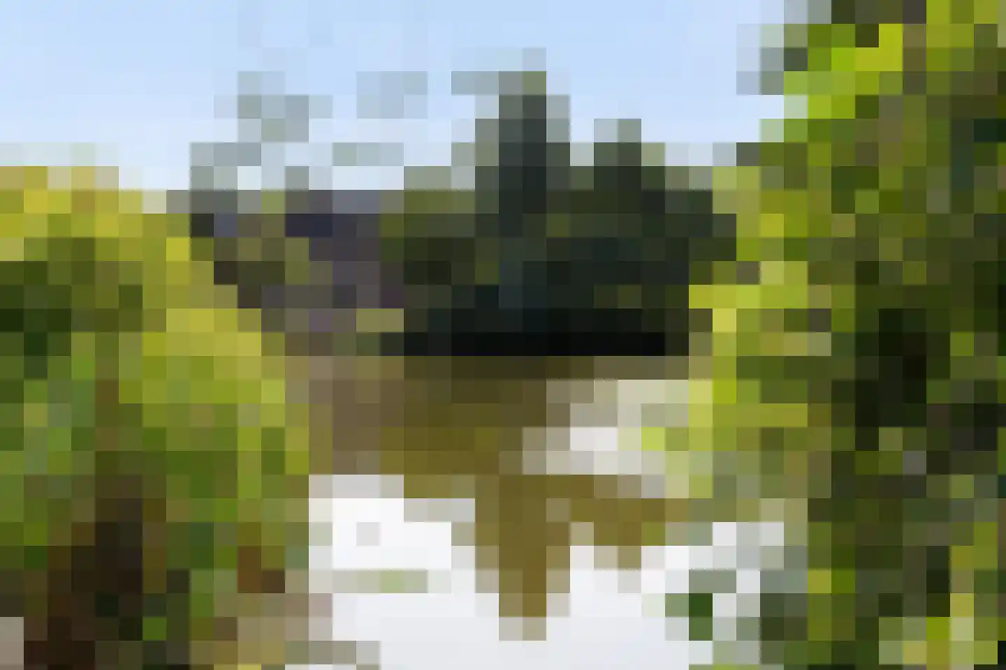 Henry Moorepassage 178 Capelle aan den IJssel thumbnail 45