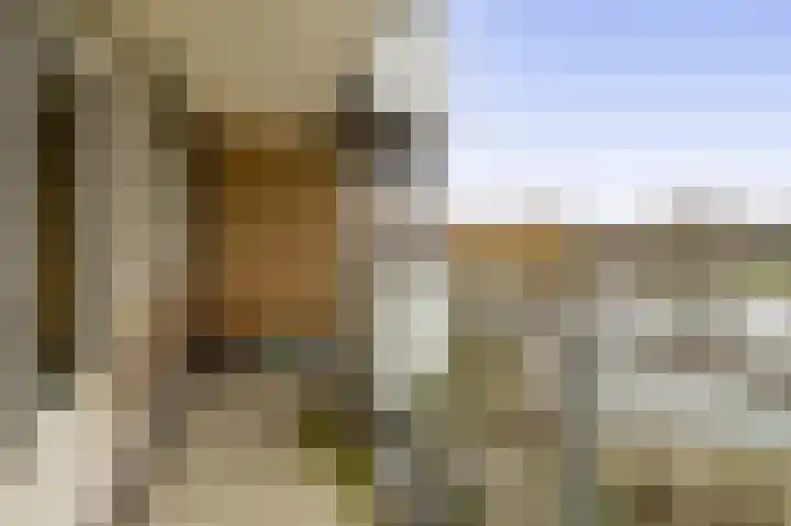 Henry Moorepassage 186 Capelle aan den IJssel thumbnail 23