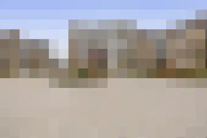 Henry Moorepassage 186 Capelle aan den IJssel thumbnail 32