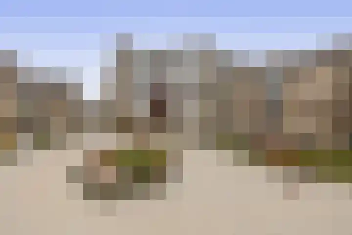 Henry Moorepassage 186 Capelle aan den IJssel thumbnail 33