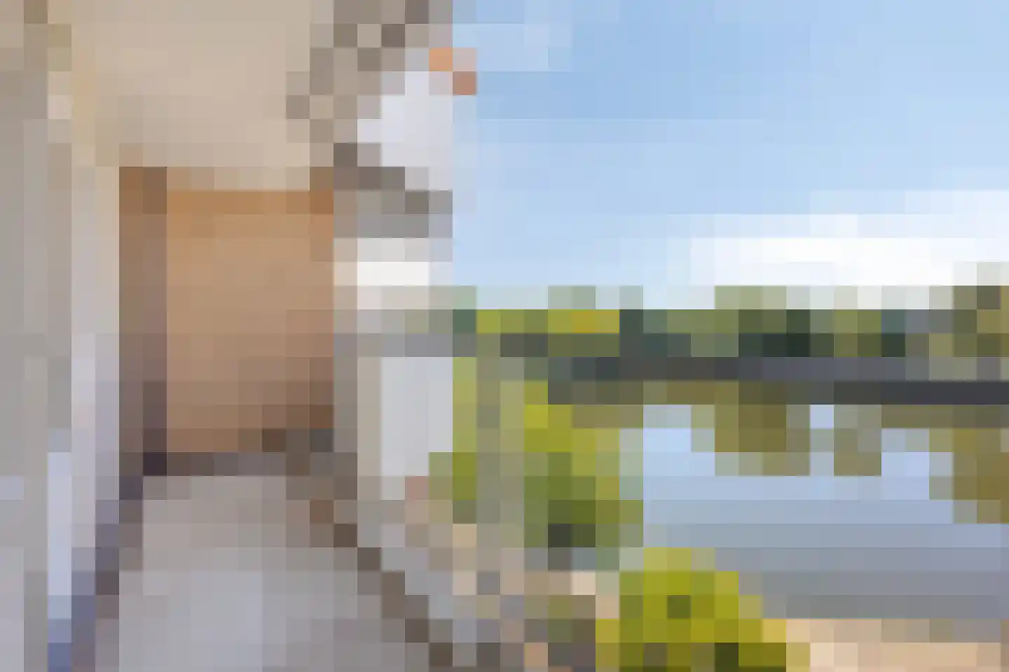 Henry Moorepassage 196 Capelle aan den IJssel thumbnail 9